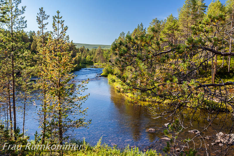 kg_120813_finnmarksvidda_6571