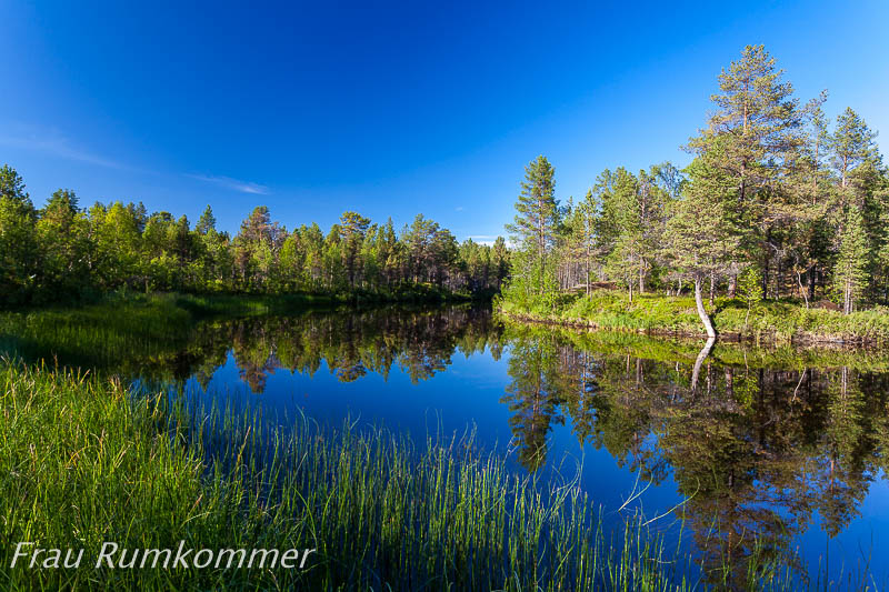 kg_120813_finnmarksvidda_6579