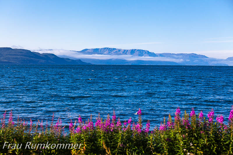 kg_120814_altafjord_6721