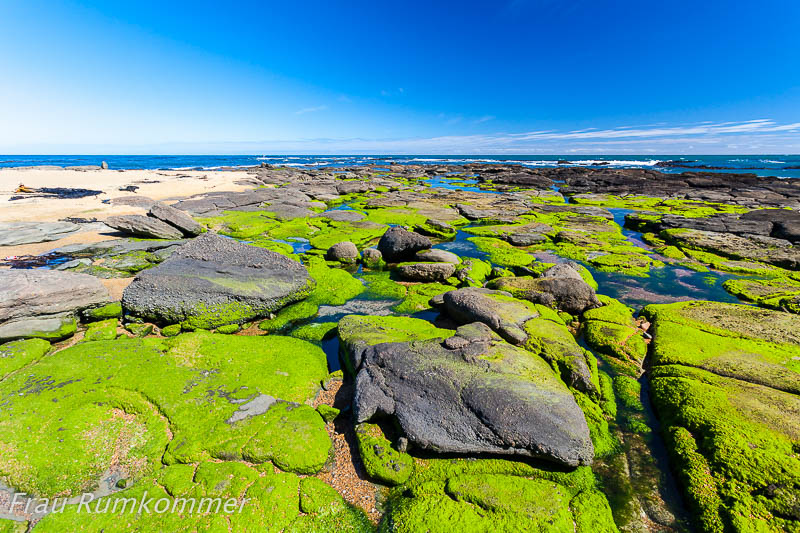 KG_131117_NZ_3193