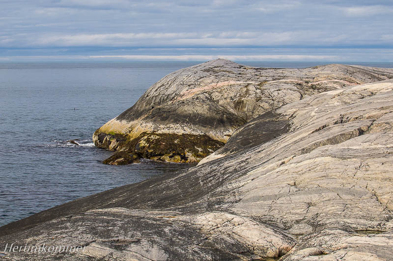 RP_2012_08_09_SørVaranger_142