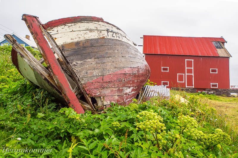 RP_2012_08_12_Vardø_177