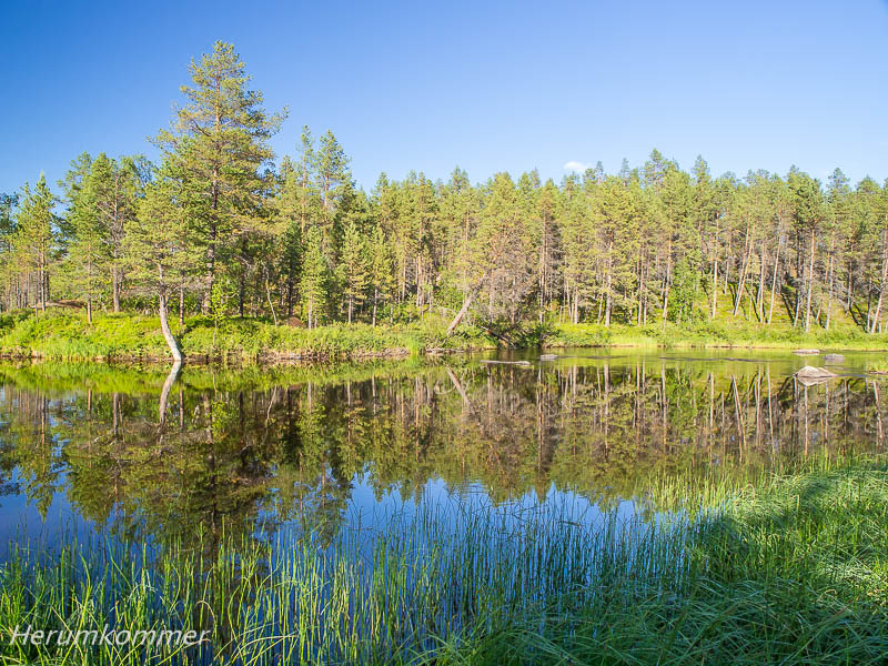 rp_2012_08_13_finnmarksvidda_016