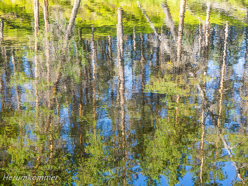 rp_2012_08_13_finnmarksvidda_040