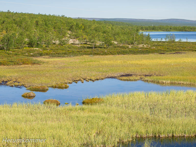 rp_2012_08_14_finnmarksvidda_026