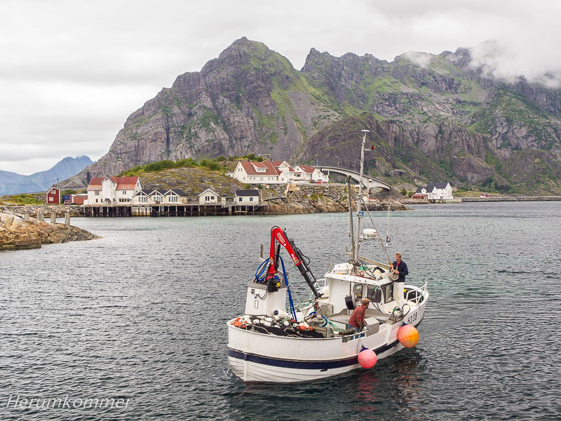 rp_2012_08_18_henningsvaer_078