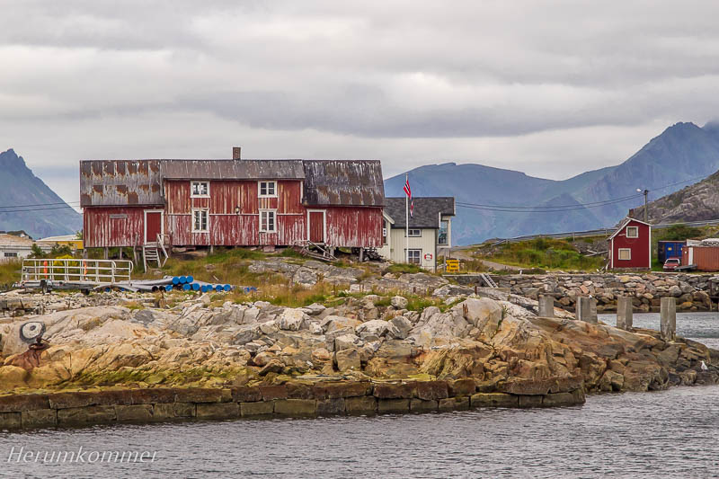 rp_2012_08_18_henningsvaer_081