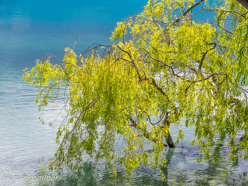 RP_2013_11_13_LakeWakatipu_104