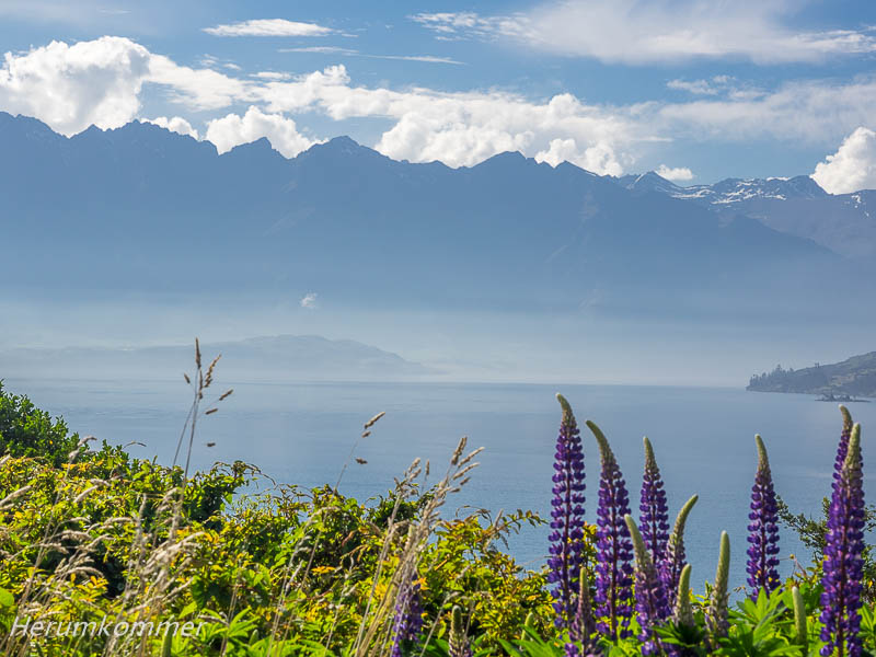 RP_2013_11_14_LakeWakatipu_011