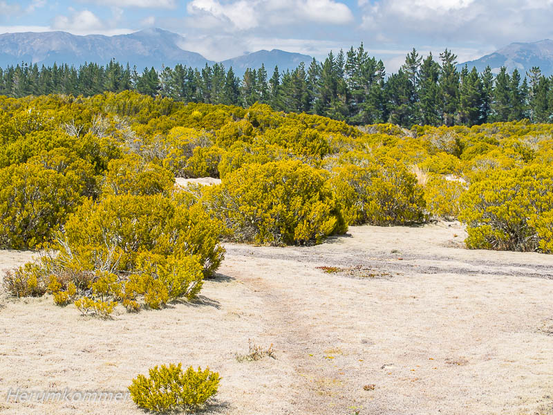 RP_2013_11_14_WildernessSciReserve_034