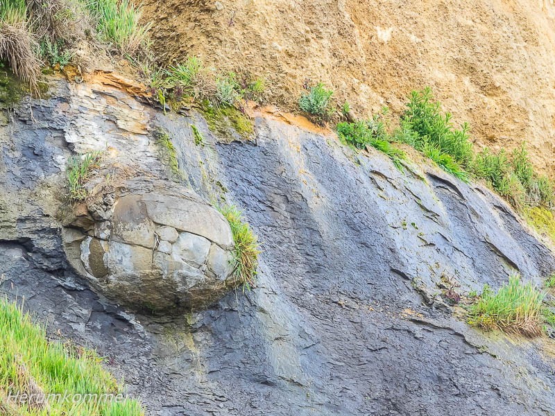 RP_2013_11_25_Moeraki_092