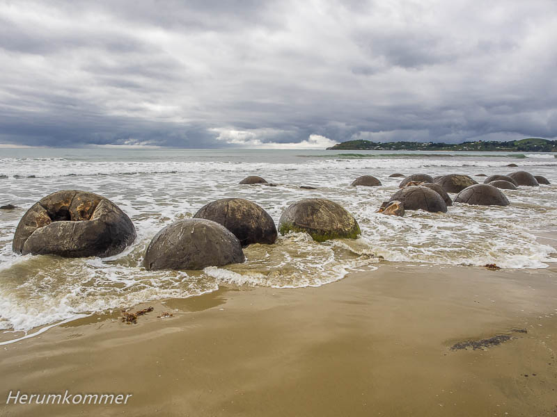 RP_2013_11_26_Moeraki_123