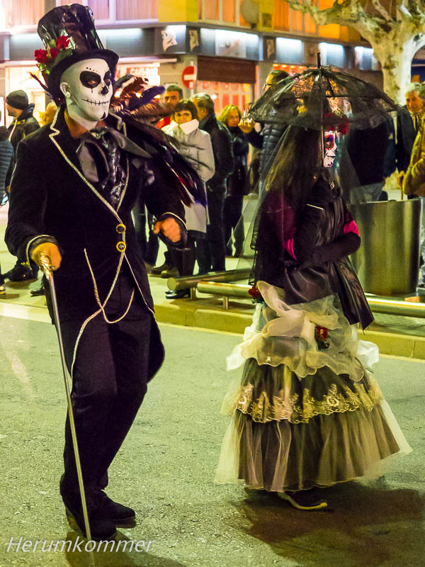 RP_2016_02_05_Carnaval_de_Roses_088