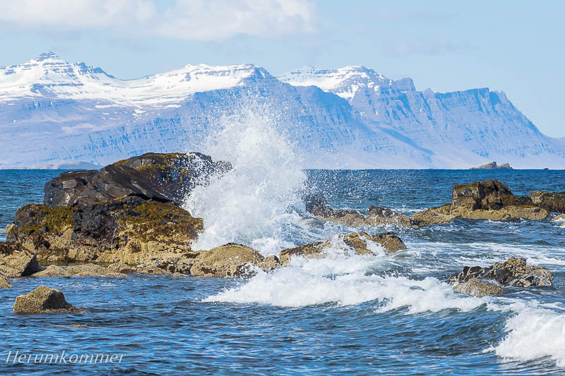 RP_2016_05_19_Álftafjörður_084