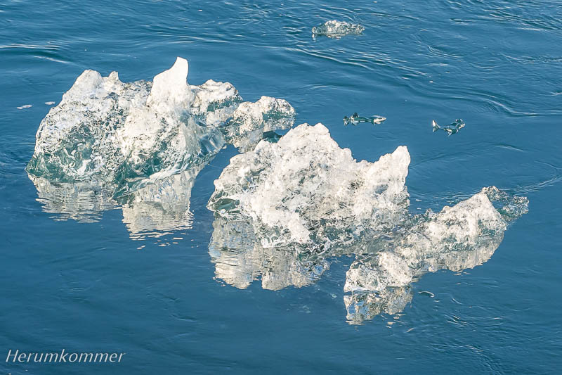 RP_2016_05_22_Jökulsárlón_363