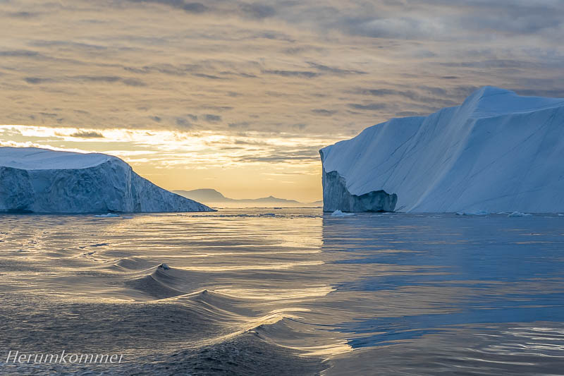 RP_2016_07_03_Eisfjord_536