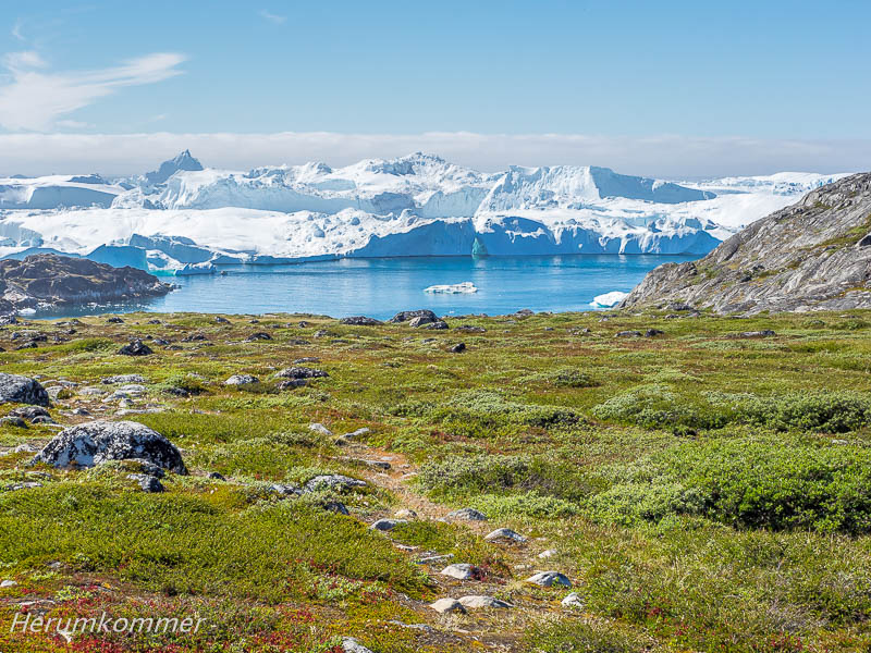 RP_2016_07_04_Ilulissat_122