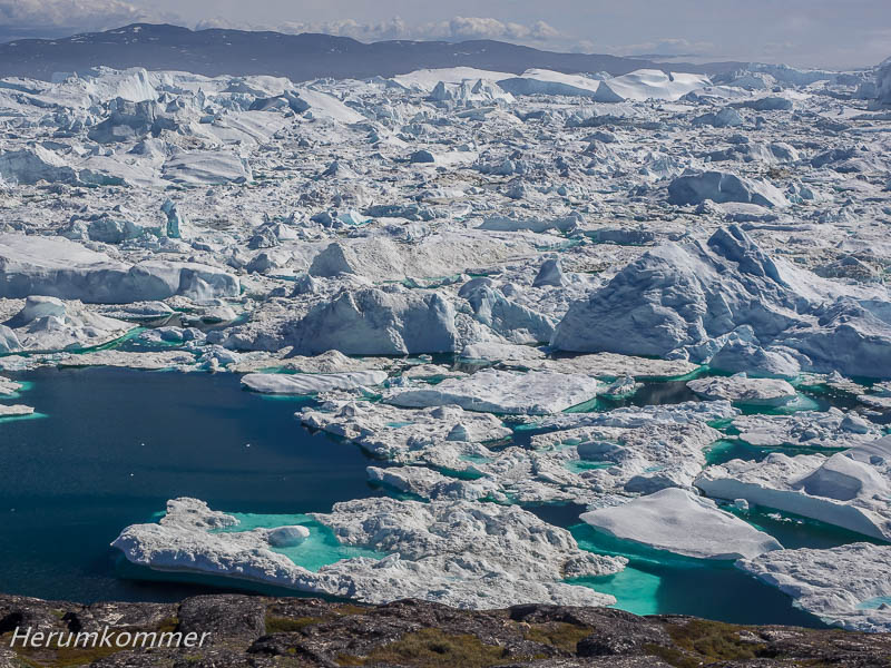 RP_2016_07_04_Ilulissat_206