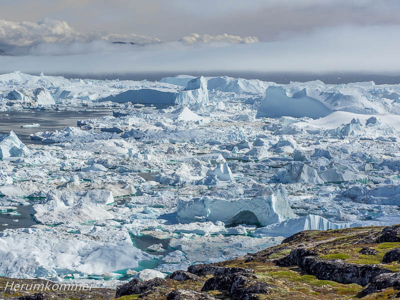 RP_2016_07_04_Ilulissat_295