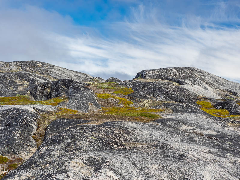 RP_2016_07_04_Ilulissat_300