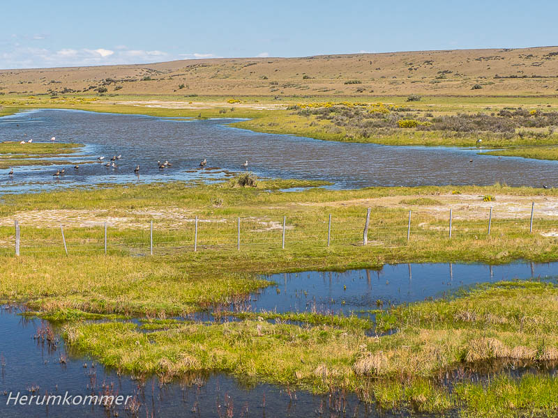 Rio Coyle Herumkommer und Frau Rumkommer